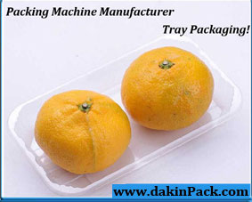 Orange citrus packing machine